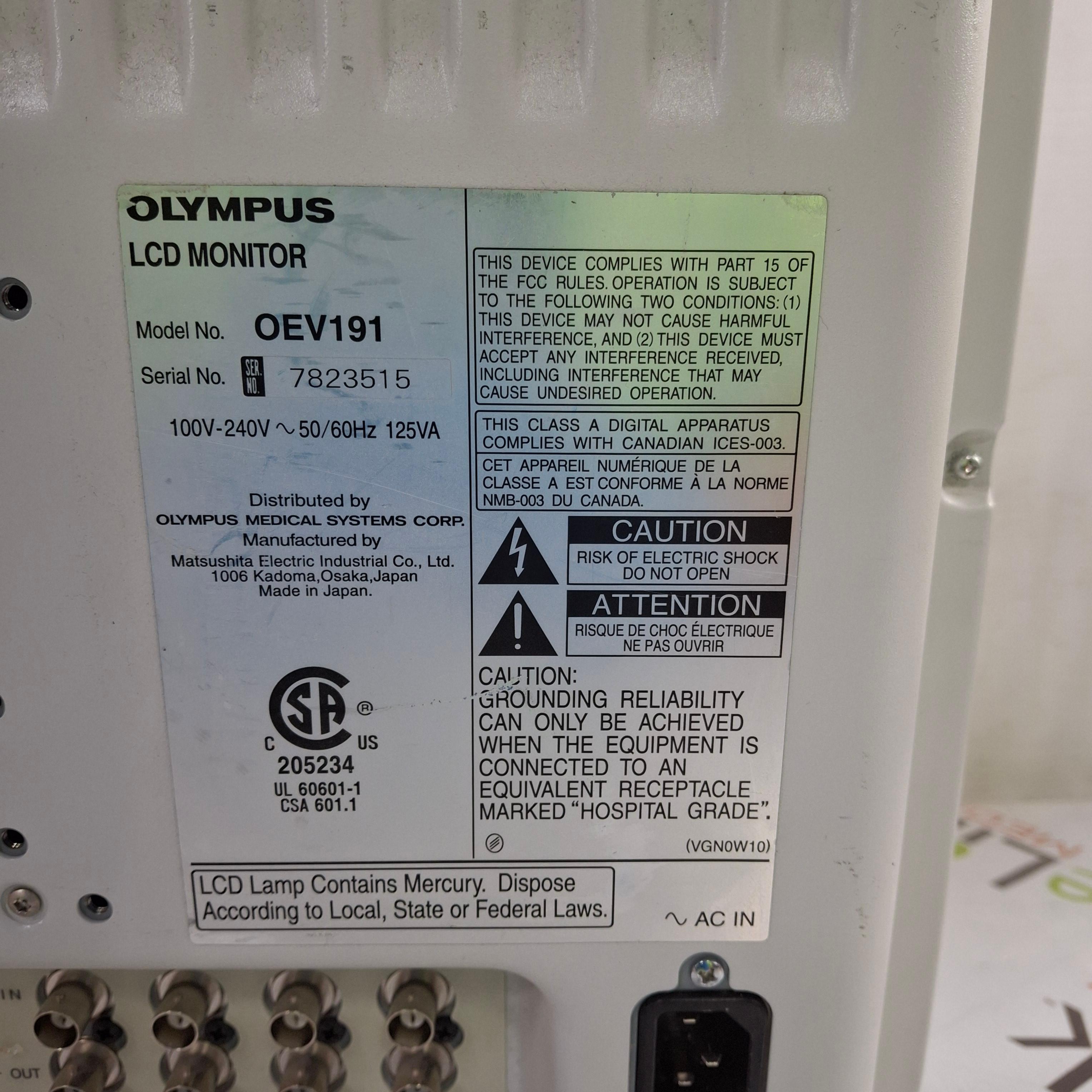 Olympus OEV191 Medical Display - 445601