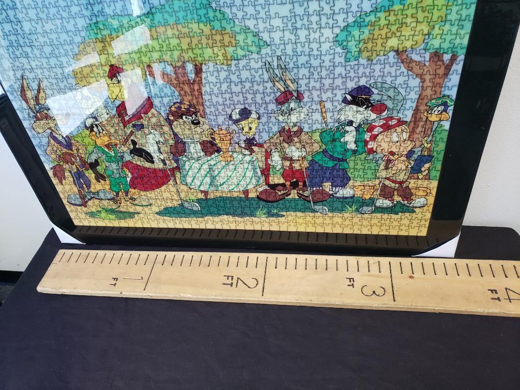 Framed Puzzle