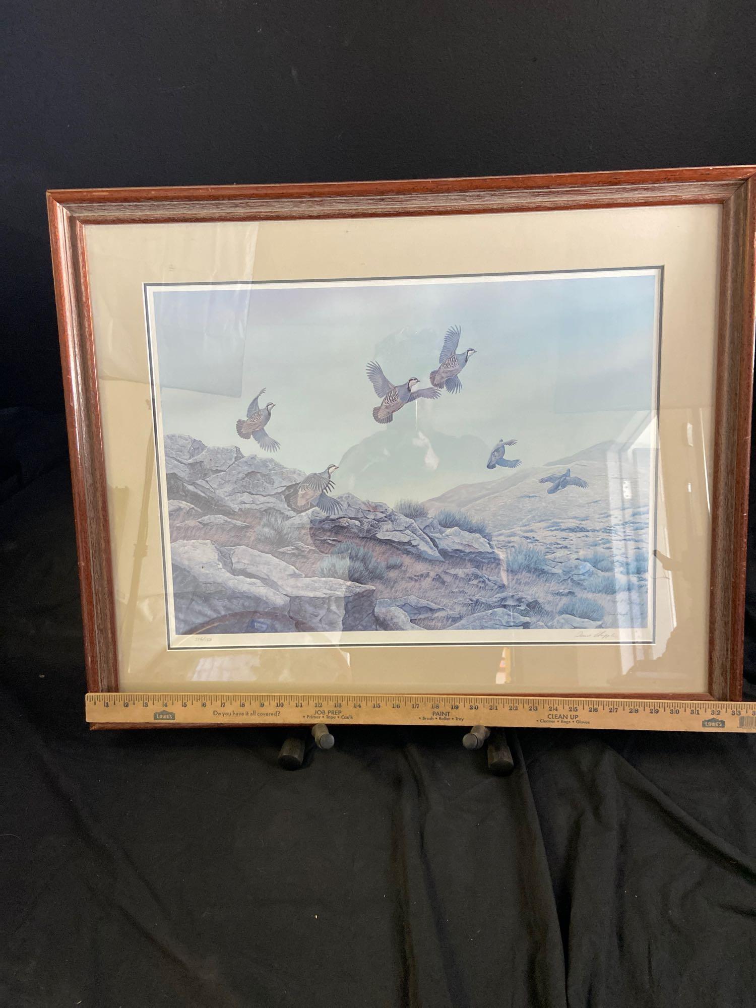 Limited Edition by Dave Chapple