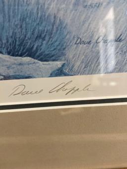 Limited Edition by Dave Chapple