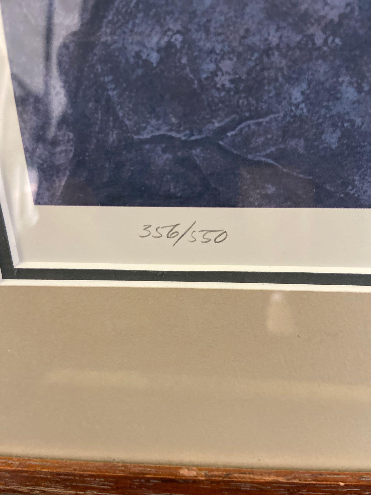 Limited Edition by Dave Chapple