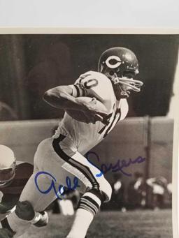 Gale Sayers Signed Photo