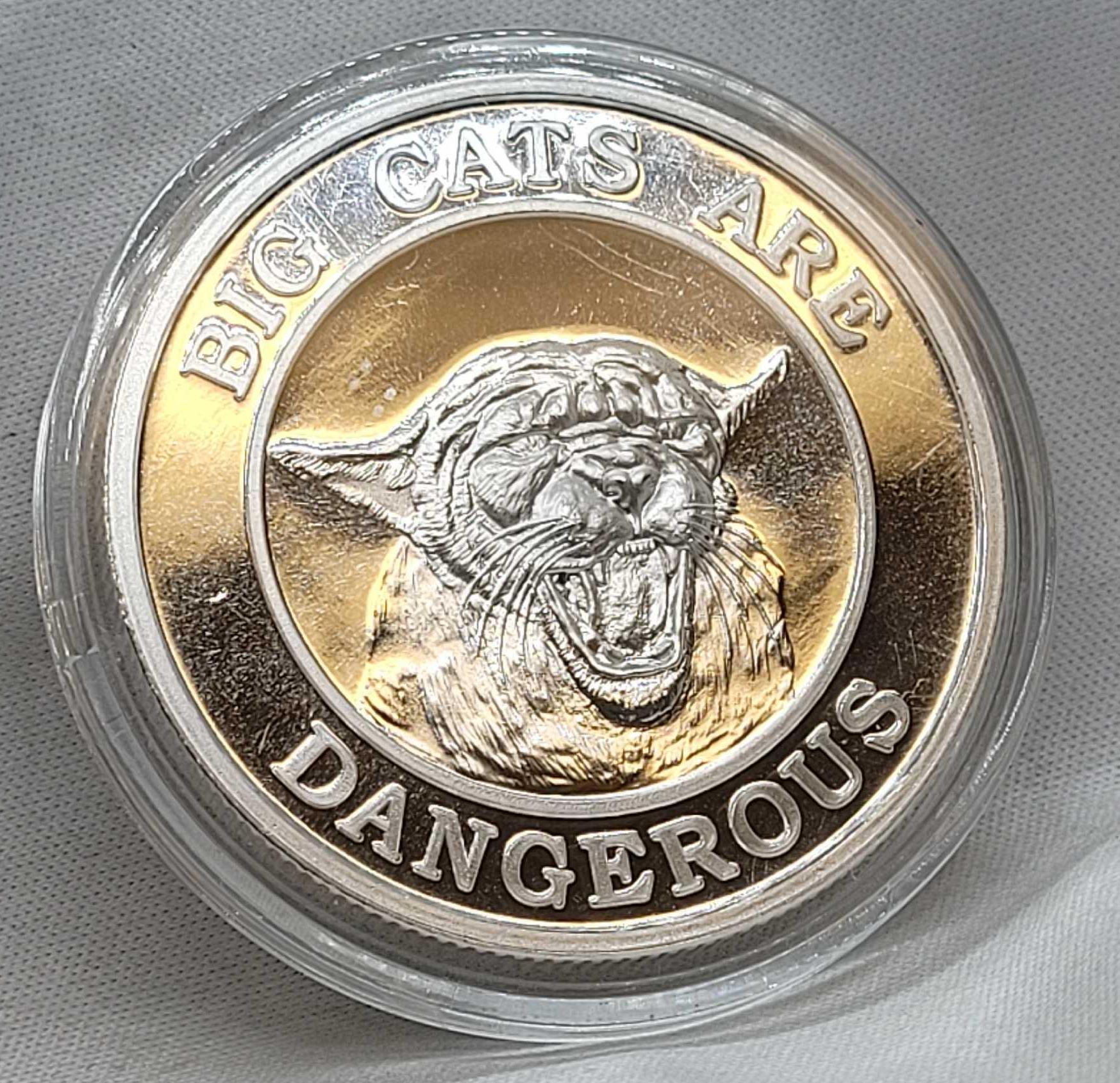 1 Troy Ounce .999 Fine Silver A Little Pussy Never Hurt Anyone Naughty Silver Coin