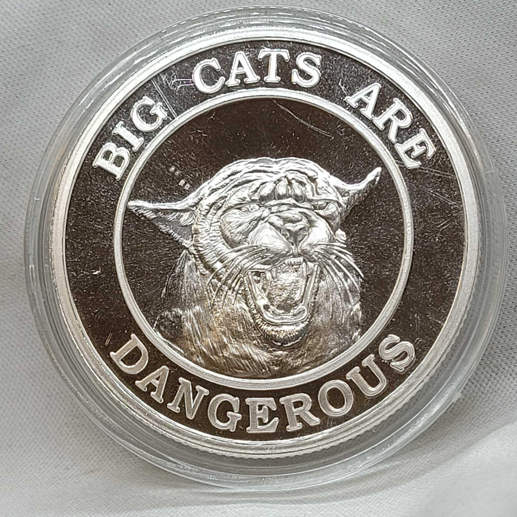 1 Troy Ounce .999 Fine Silver A Little Pussy Never Hurt Anyone Naughty Silver Coin
