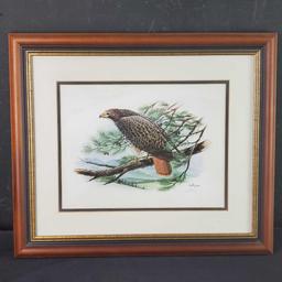 FRAMED RED TAILED HAWK LITHOGRAPH PRINT SIGNED BALKE DATED 1988