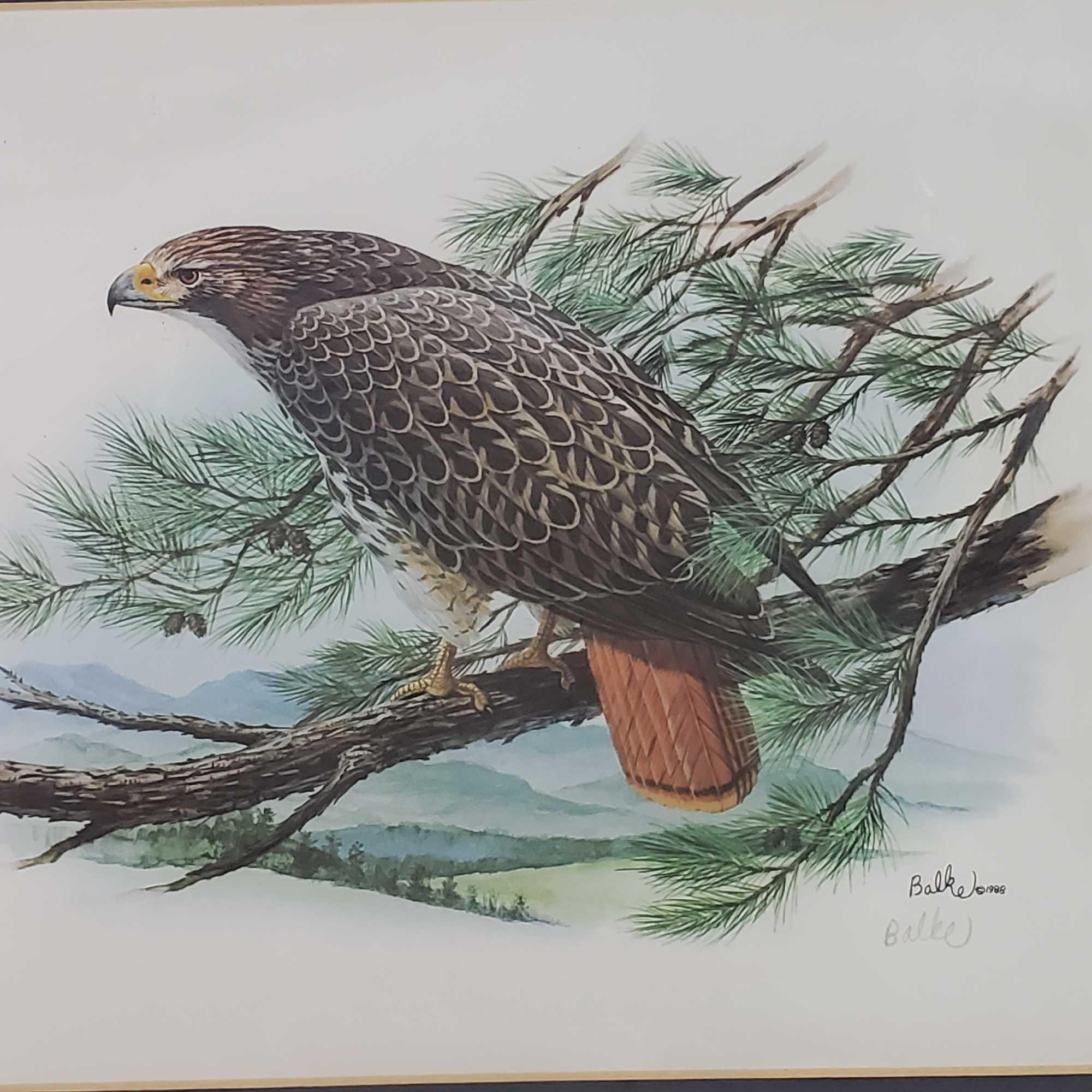 FRAMED RED TAILED HAWK LITHOGRAPH PRINT SIGNED BALKE DATED 1988
