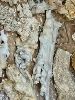 8.2lbs Cave Calcite Aragonite Mineral Specimens