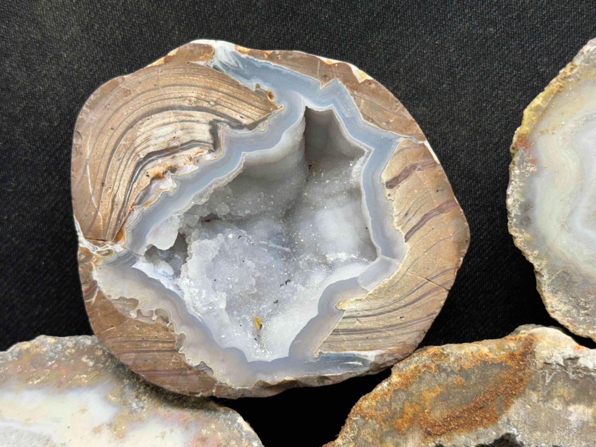 5 Geode Halves Specimens