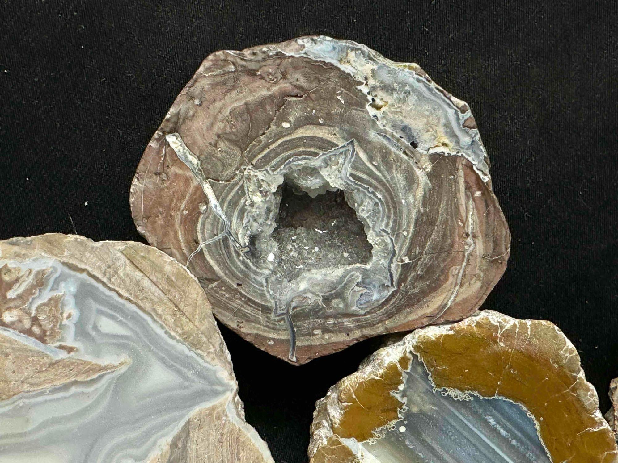 4 Geode Halves Specimens
