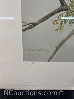 Unframed Red tailed Hawk by the cliff by Robert Bateman 1980 Limited Edition Prints 702 / 950