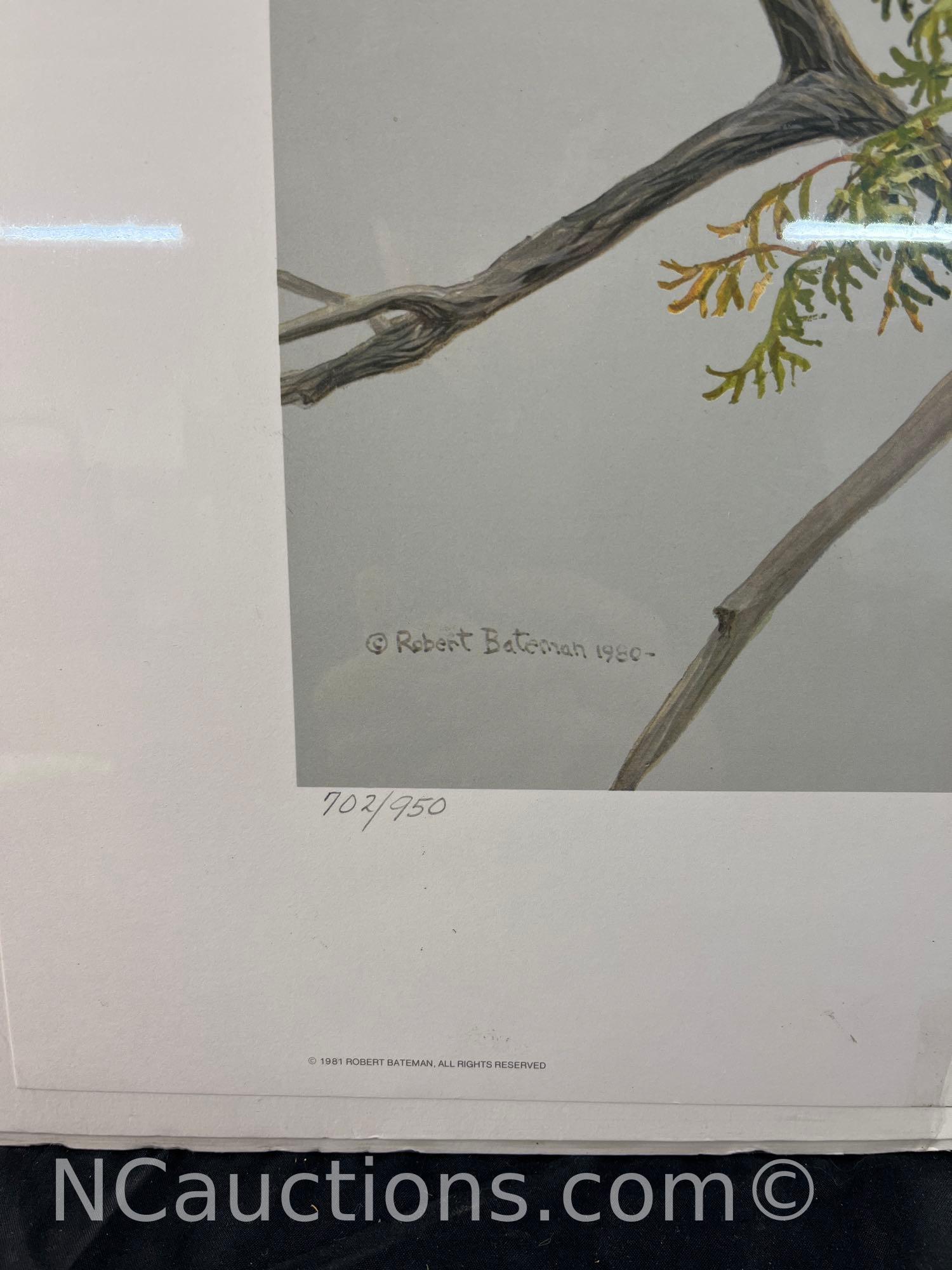 Unframed Red tailed Hawk by the cliff by Robert Bateman 1980 Limited Edition Prints 702 / 950