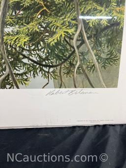 Unframed Red tailed Hawk by the cliff by Robert Bateman 1980 Limited Edition Prints 702 / 950
