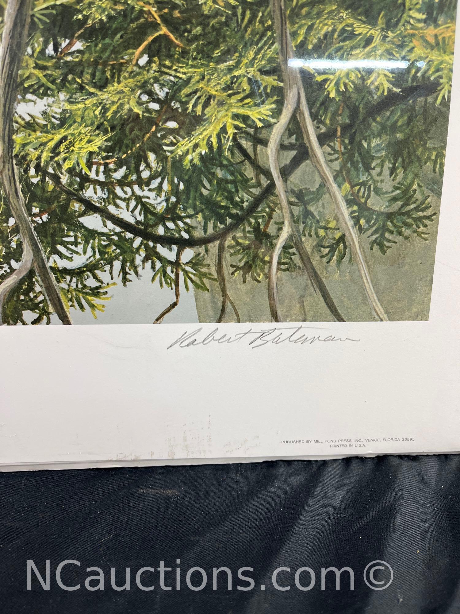 Unframed Red tailed Hawk by the cliff by Robert Bateman 1980 Limited Edition Prints 702 / 950