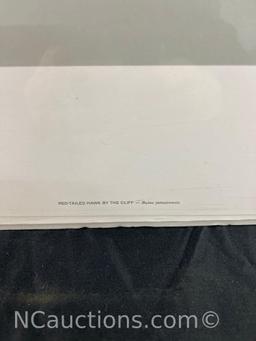 Unframed Red tailed Hawk by the cliff by Robert Bateman 1980 Limited Edition Prints 702 / 950