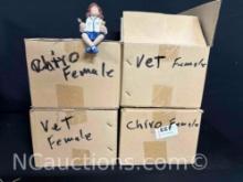 4 boxes of various Shell Sitters 24 total in original packaging