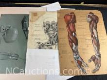 Robert Gray Unframed Art