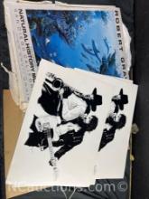Robert Gray Reef Wonders Natural History Museum posters and Bruce Springsteen posters