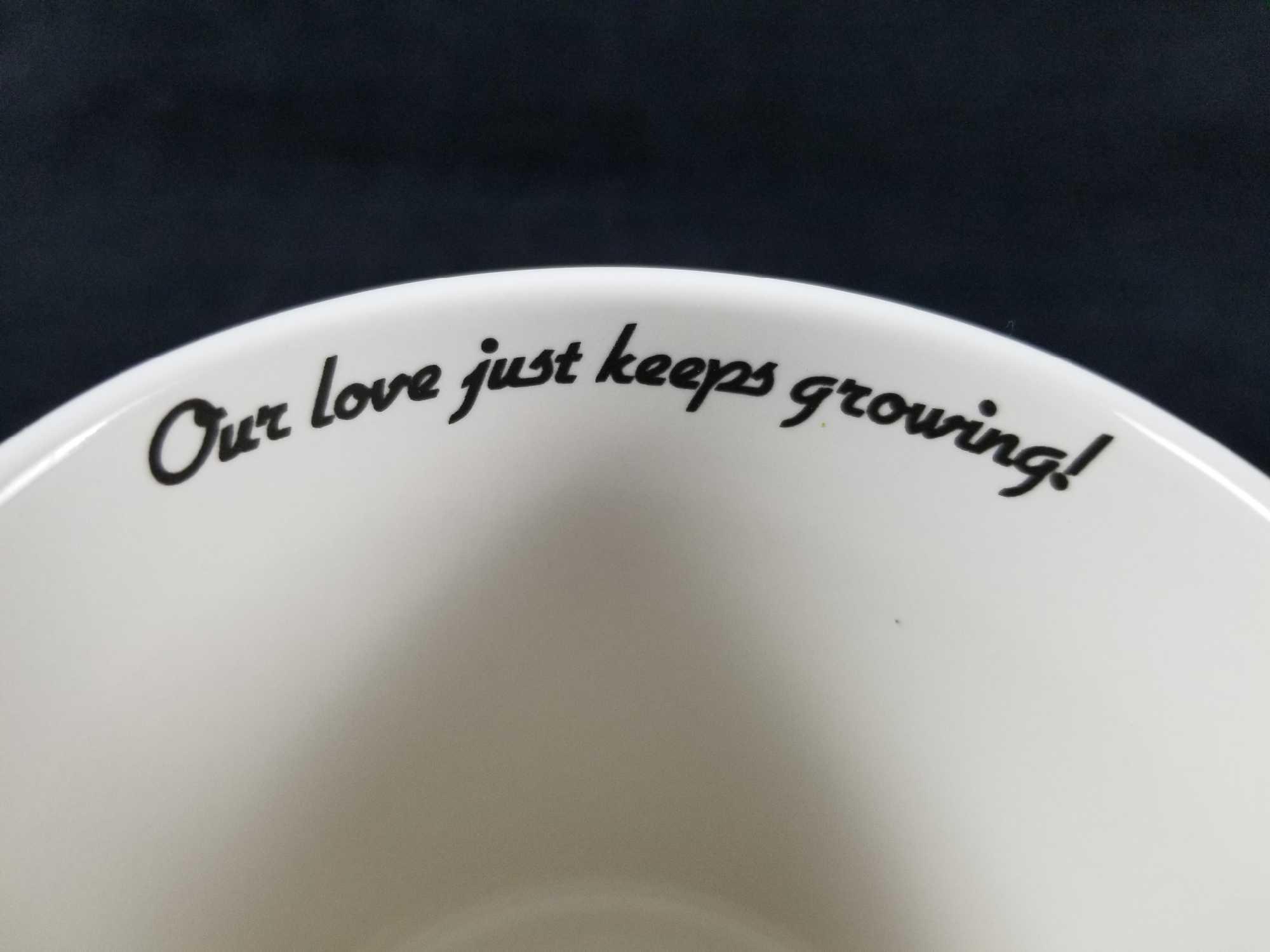 1988 Vintage Donald And Daisy Movie Frame Coffe Mug