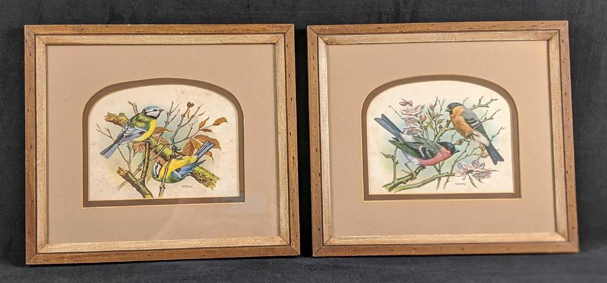 Framed Vintage Vortigern Bird Prints