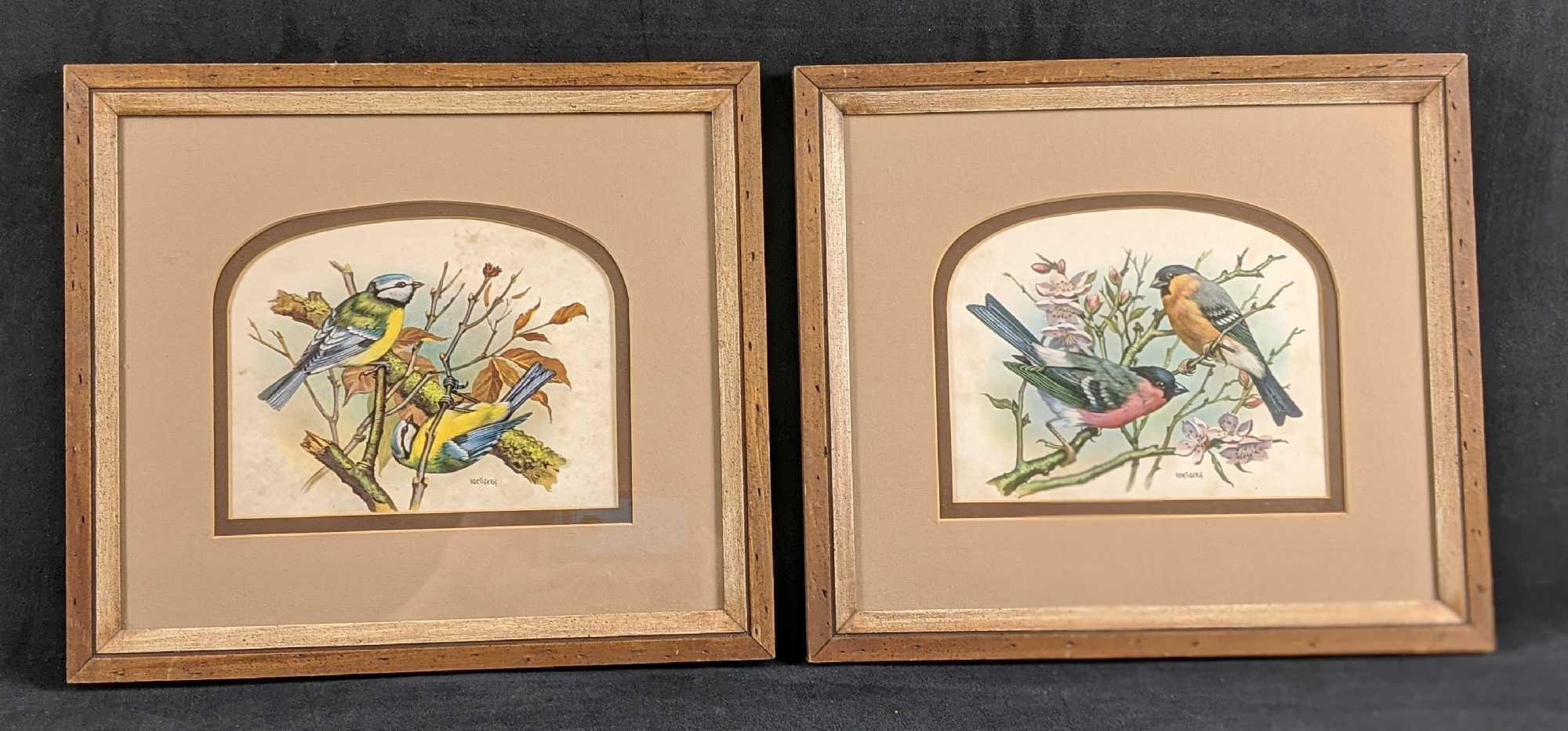 Framed Vintage Vortigern Bird Prints