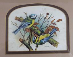 Framed Vintage Vortigern Bird Prints