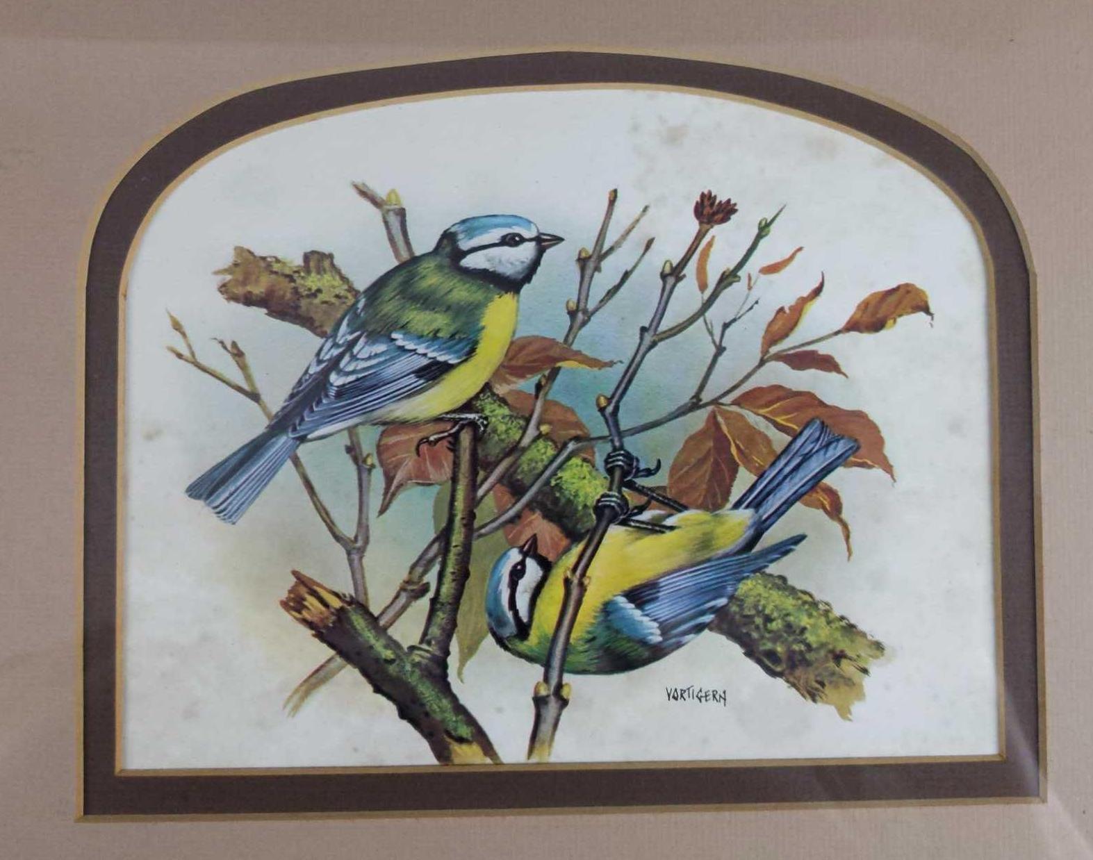 Framed Vintage Vortigern Bird Prints