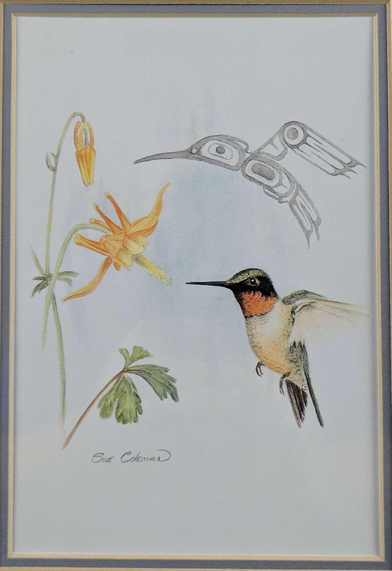 Sue Coleman The Hummingbird Framed Print