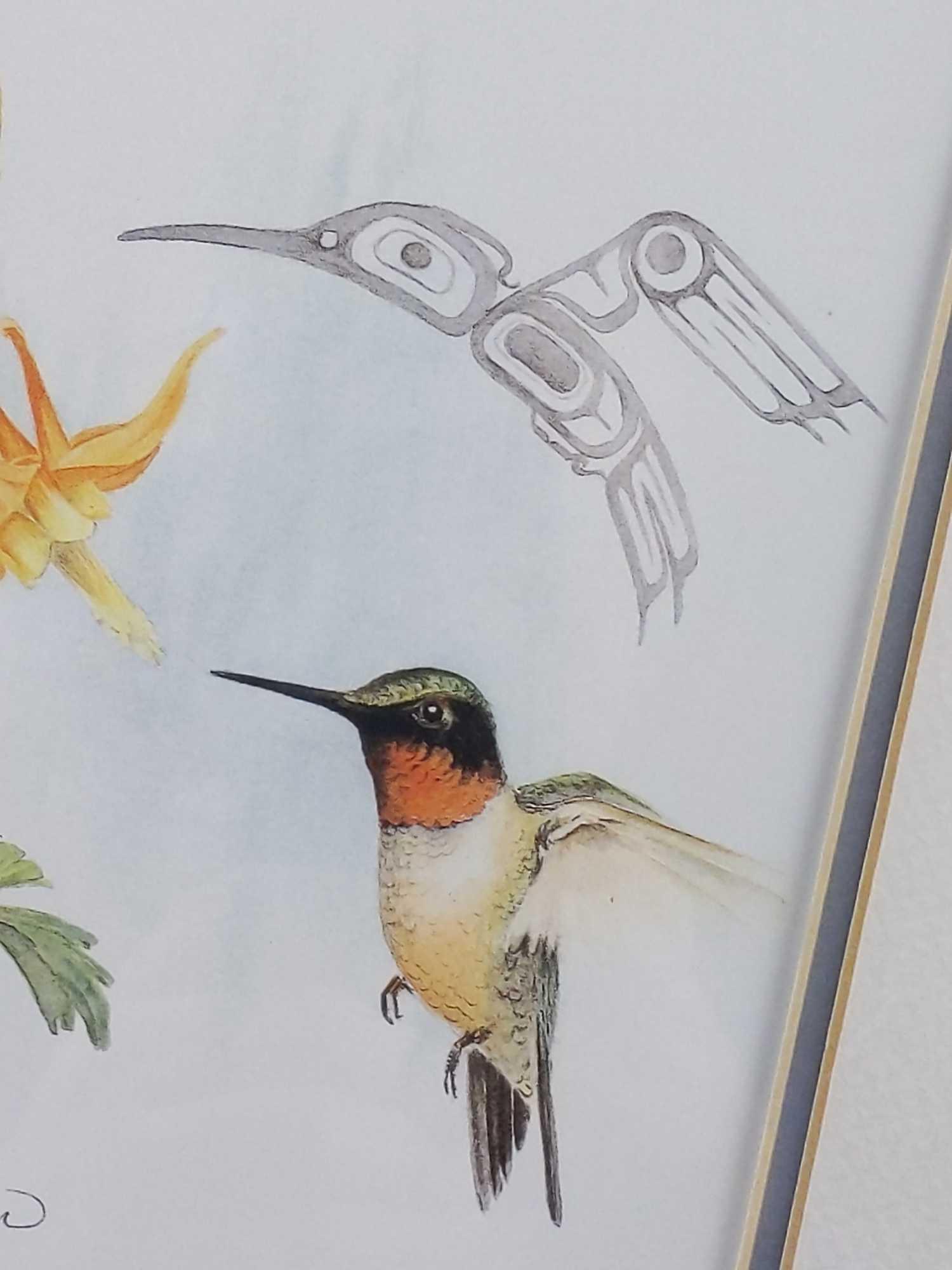 Sue Coleman The Hummingbird Framed Print
