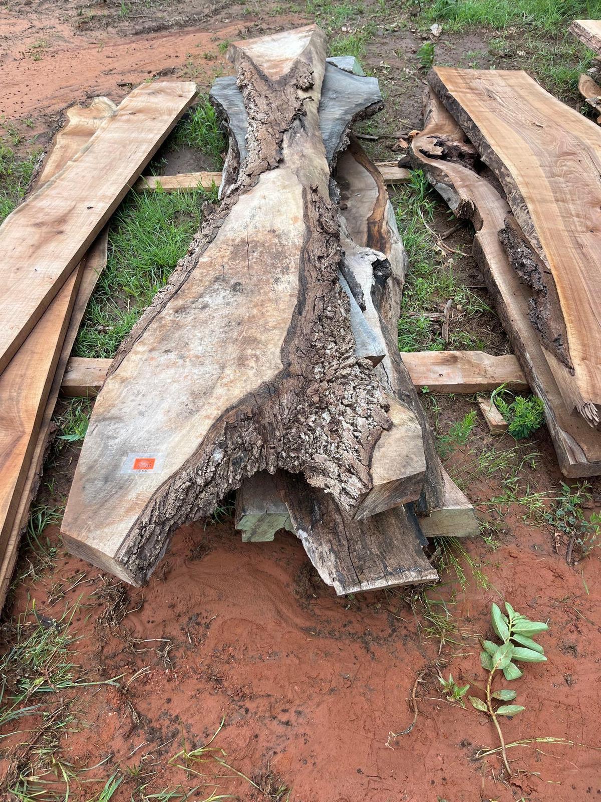 live edge walnut slabs