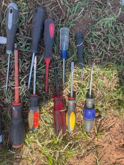 assortment of Phillips and flat screw drivers