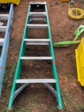 6 foot fiberglass ladder