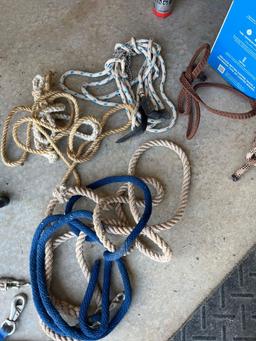 misc ropes and leashes