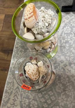 vases of seashells