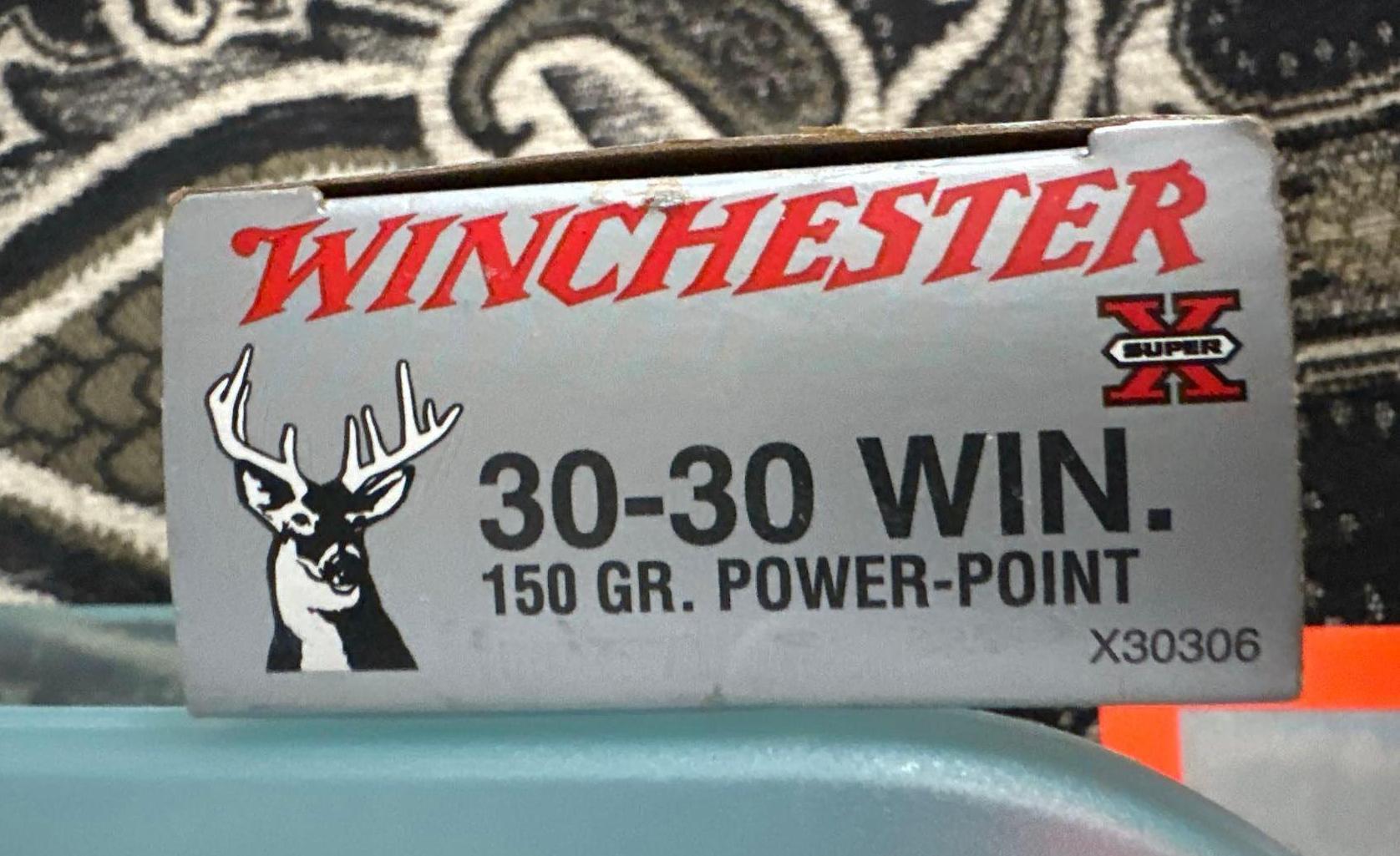 3030 Winchester hollow point