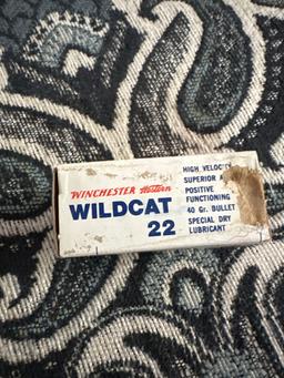 Wildcat .22 bullets