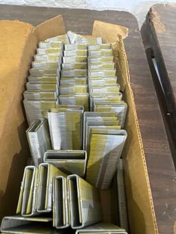 Galvanized 16 gauge staples in box