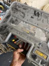 Dewalt case