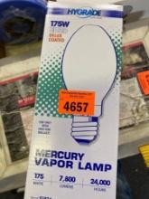 Mercury vapor lamp