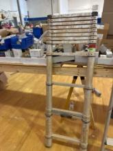 Extension ladder Must bring help to load