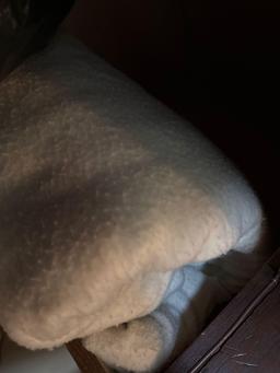 Blanket and bed spread
