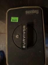 Sentry Survivor Safe 8x16 inches