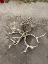 Dear antler chandelier