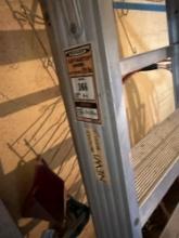 6 foot step metal ladder