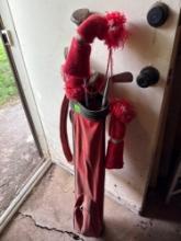 Golf clubs and bag
