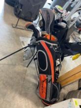 golf clubs; bag ; gloves