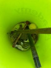 5 gallon bucket with tennis ball,funnels, hood and other items