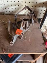 Pair of spurs
