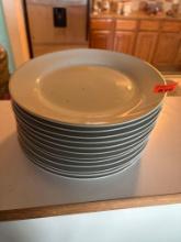 (12) plates