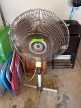 Fan