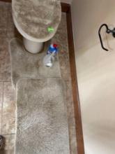 toilet seat cover, toilet rug, cleaner, and a rug
